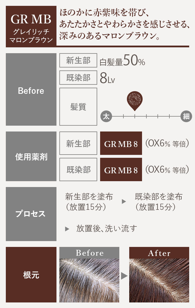 ホーユープロステップ　カラー剤　 グレイカラー  GS6